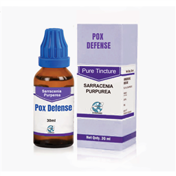 Pure Sarracenia Purperea (Pox Defense)